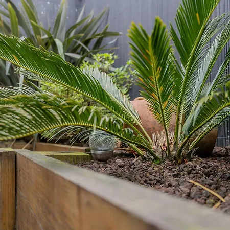 Atlantic Selection - Un à La Sharon *